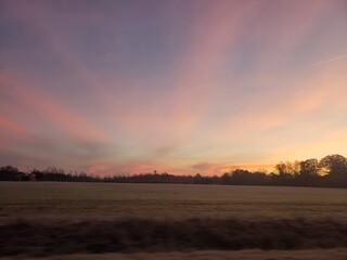 sunset over the field