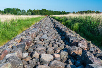 Straight old and long mole paved with stones going through the reed field till Baltic sea, Ainazi, Latvia.