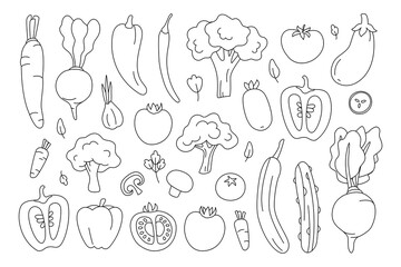 Set of contour vegetables. Fresh organic products isolated on white background. Monochrome icons: tomato, pepper, cucumber, beet, garlic, broccoli, carrot, eggplant, mushroom. Vector illustration.