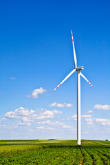 A wind turbine and green field on sunny day