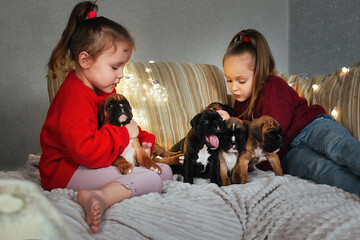 children at home on the couch playing with small German boxer puppies