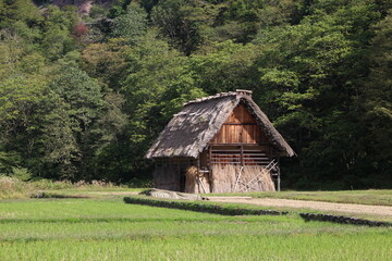 Brown wooden house in the forest, Shirakawago, Gifu, Japan