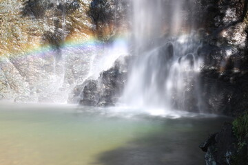 Fototapeta na wymiar waterfall with rainbow in the forest, Minoo, Japan