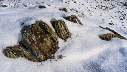 Lichens are visible on weathered boulders lying in the snow. Dry grass and frost all around. Close-up. Altai