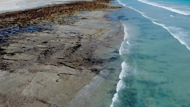 Coconut Wells