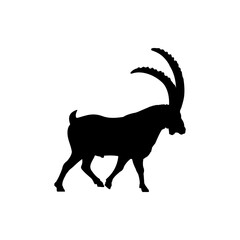 Alpine Ibex Silhouette Vector For The Best Alpine Ibex Icon Illustration - obrazy, fototapety, plakaty