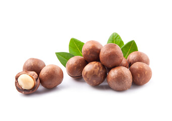 Macadamia nuts with leaves