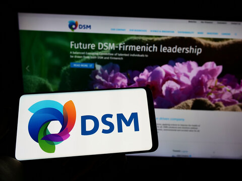 Stuttgart, Germany - 07-24-2022: Person holding cellphone with logo of Dutch chemicals company Koninklijke DSM NV on screen in front of business webpage. Focus on phone display.