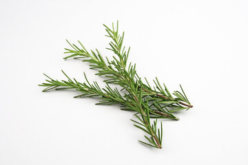 ローズマリー　ハーブ　料理　食材　スパイス
