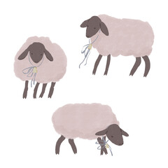 Cute sheep illustration. Gray sheep with black heads and legs are simple sheep drawn by hand with bells on their necks. Isolated elements on a white background. set of illustrations