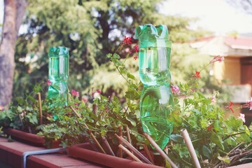 Plastic bottles for watering flowers on the balcony as irrigation system - obrazy, fototapety, plakaty