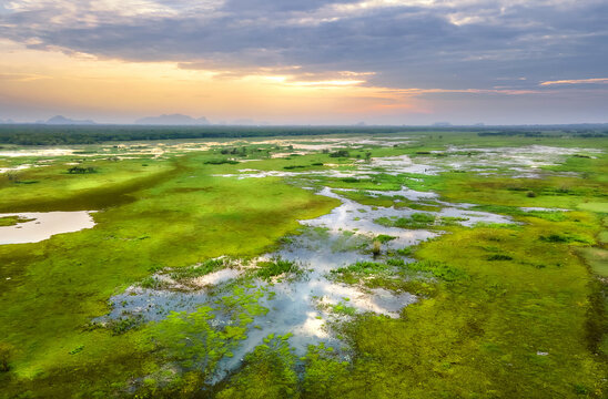 Scenery landscape view of the largest ecological wetland at Thale noi, Phatthalung, Thailand.