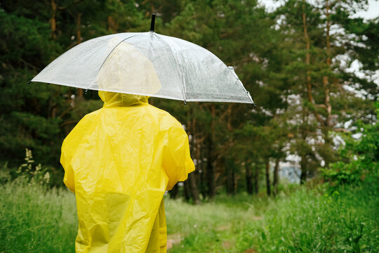 Girl in yellow raincoat stands on road against green rainy fir-trees. Teenager hides under transparent umbrella from rain backside view