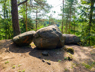 Stone landscape in the forest