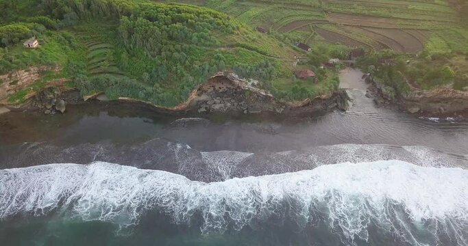 Sliding drone shot of cliff overgrown by tress border with the sea. shot of sea wave in Indonesia. sea ​​foam 4K video