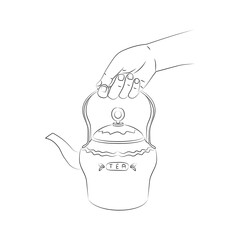Woman's hand holds a teapot for brewing tea. Metal teapot close-up. Utensil for kitchen. Use for menu design in a restaurant, cafe, delivery service. Sketch, linear drawing in minimalist style