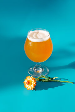 beer, glass of beer, beverage, drink, liquid, cocktail, fresh 