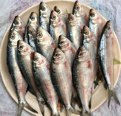 Fresh sardine fish on the market. Dead fishes kept in a plate. 