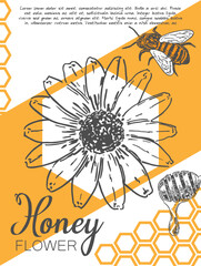 Vector promo card design for honey farm