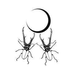 vector two beetles and a crescent