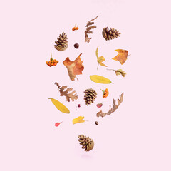 Colorful dry leaves levitate on a pastel pink background. Visual aesthetic fall concept. Flying leaf idea.