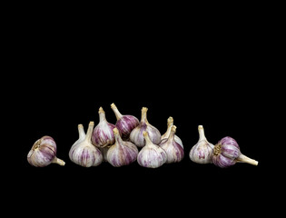  harvest of garlic on a black background