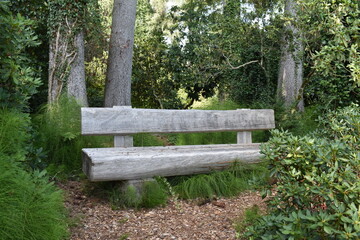 Sitzbank im Wald
