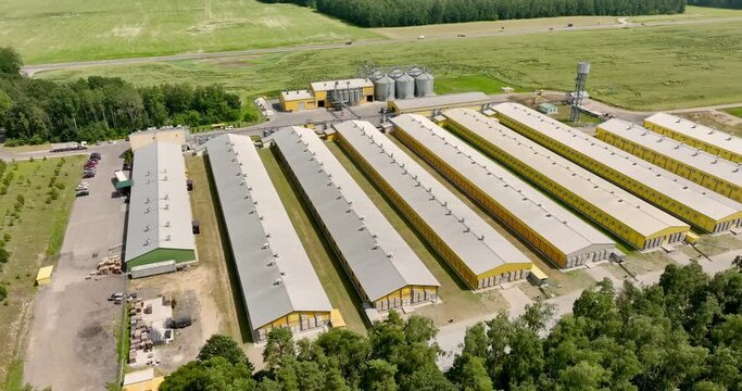 aerial flight over silos and agro-industrial livestock complex on agro-processing and manufacturing plant with modern granary elevator. chicken farm. rows of chicken coop