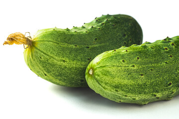 Fresh harvest of cucumbers with dry blossom macro shot. Green gherkins close up. Homegrown pickles isolated on white background