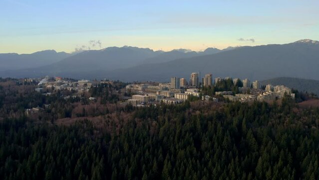 Dense Pine Forest Surrounding The SFU On Top Of Burnaby Mountain, British Columbia, Canada. Aerial
