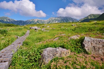 Autumn scenery in Tateyama alpine, Toyama