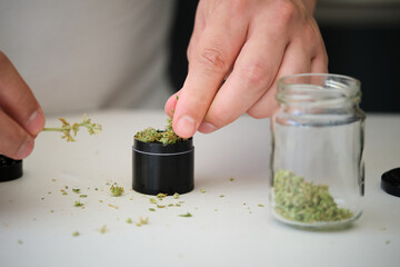 Two hands using a weed grinder to shred the buds. Herb grinder. - obrazy, fototapety, plakaty