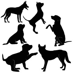 dog movements vector shihouette collection