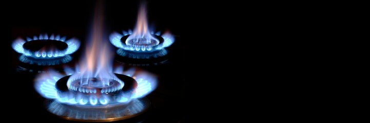 gas flame burns on a stove
