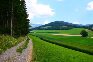 Landschaft im Murtal