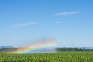irrigation machine on a green field on a flat landscape with a rainbow
