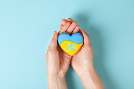 Female hands holds cookie with Ukraine flag colors on blue background
