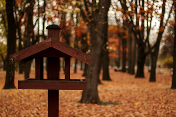 Autumn landscape - a bird feeder in the form of a house against a background of yellow autumn foliage.