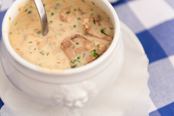 Creamy sauce with mushrooms in a white porcelain bowl
