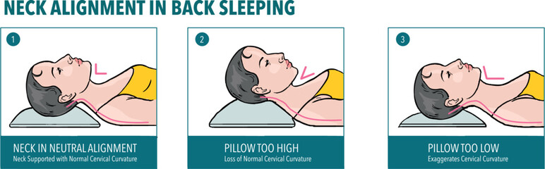 Neck alignment in back sleeping