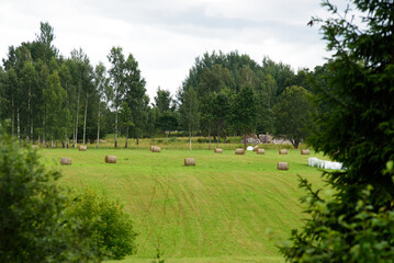 beautiful green meadow with hay rolls and bushes on a sunny summer day