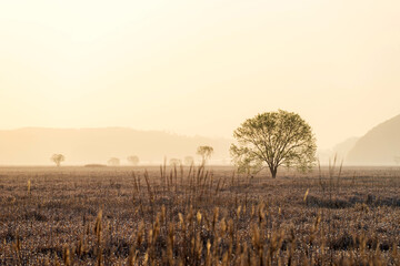 우음도, 대지의 일출