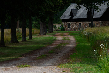 a beautiful road to a barn with an oak alley on a sunny summer day