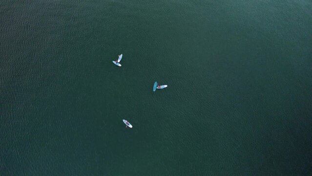 Group of active people exercising Stand Up Paddle Boarding SUP in Baltic sea - top down aerial uprise