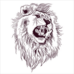 Obraz premium Pencil drawing of the head of a roaring lion in a minimalist style, suitable for a logo, tattoo, interior decoration, paintings, print on textiles and t-shirts. Lion roar.
