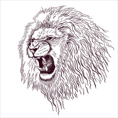 Pencil drawing of the head of a roaring lion in a minimalist style, suitable for a logo, tattoo, interior decoration, paintings, print on textiles and t-shirts. Lion roar.