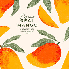 Mango fruit illustration design template. Vintage textured style. Ripe mango plant with leaves.