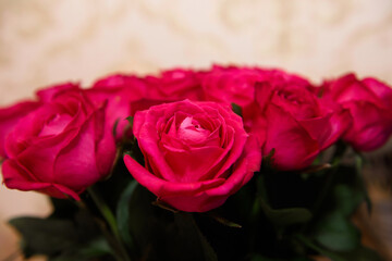 A bouquet of red roses. Luxurious scarlet rose flower.