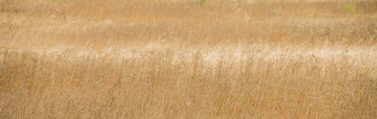autumn mood autumn landscape.view of beautiful autumn fields.beautiful autumn background.
