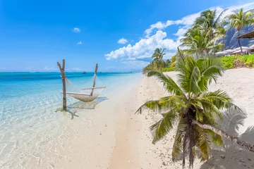 Photo sur Plexiglas Le Morne, Maurice Cocotier et hamac sur plage paradisiaque 